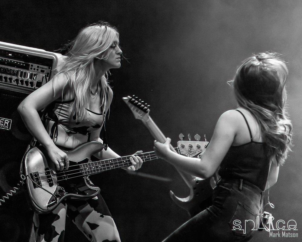 Plush 12-29-21  (10)