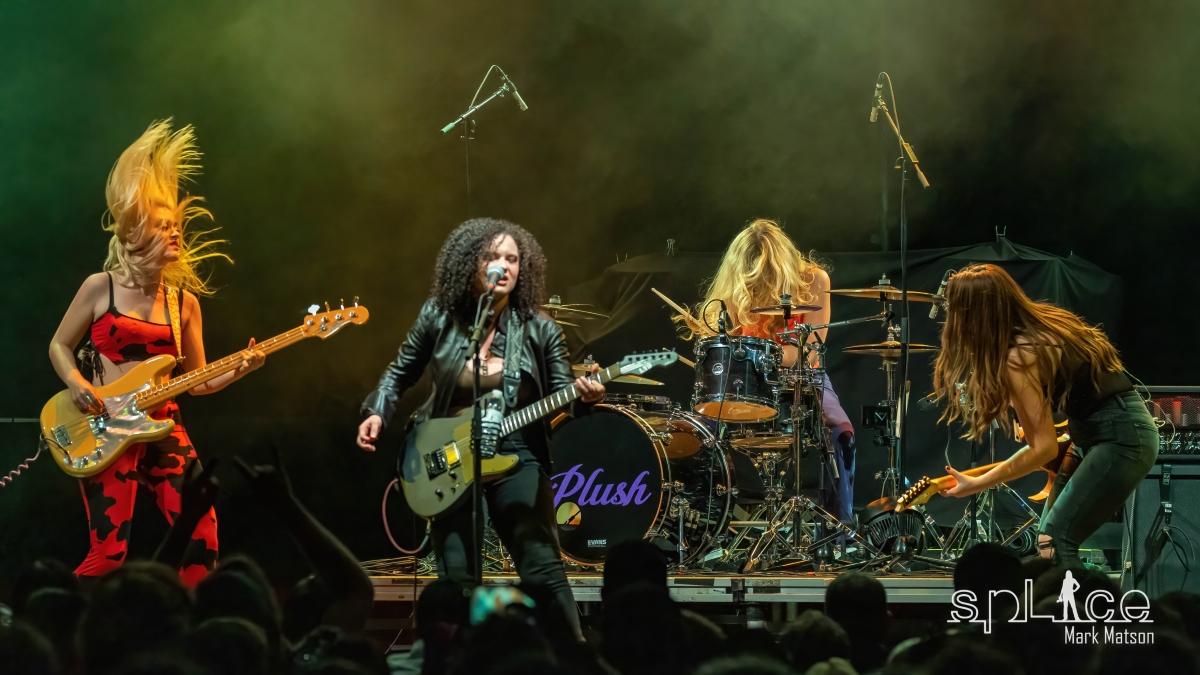 Plush 12-29-21  (44)