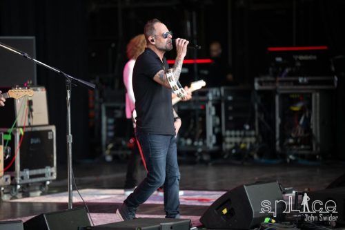 Gin Blossoms©John Swider