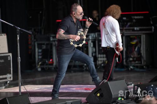 Gin Blossoms©John Swider