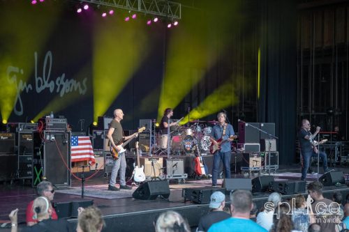 Gin Blossoms©John Swider