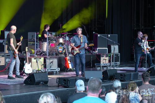 Gin Blossoms©John Swider